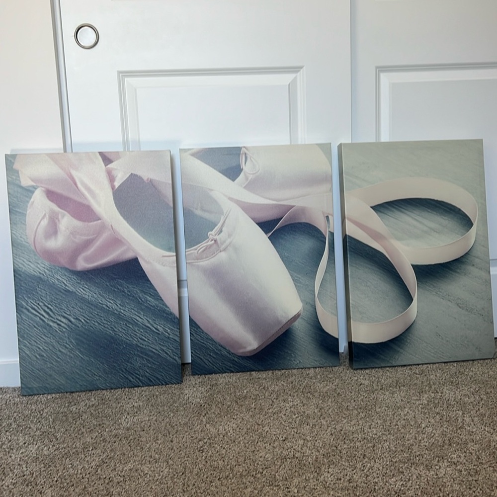 16” x 24” x 3 Pointe Shoe Canvas Set